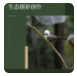 common/upload/2025/01/26/23139mv.jpg
