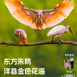 common/upload/2025/04/16/2129403.png